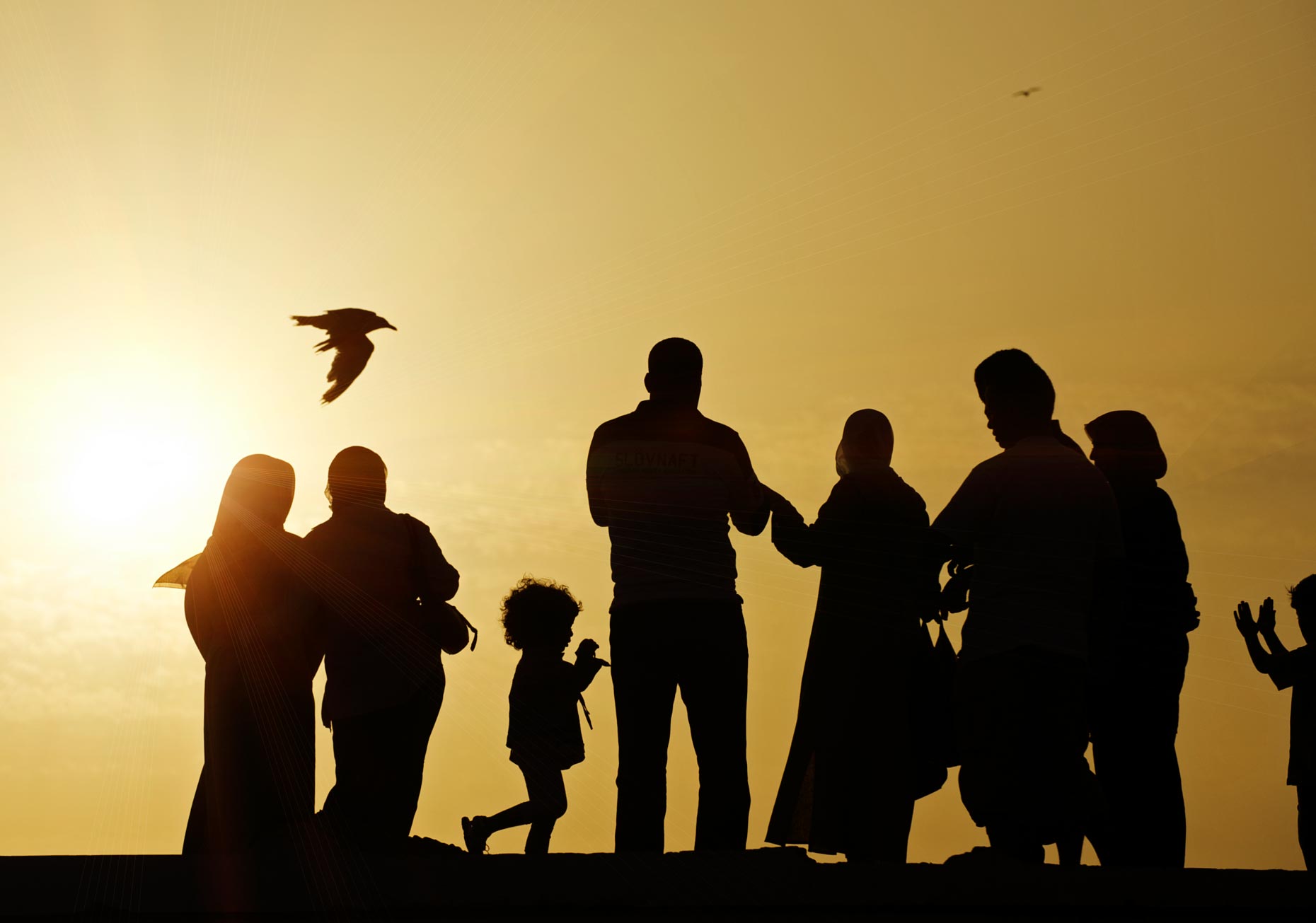 essaouira_port-04.jpg